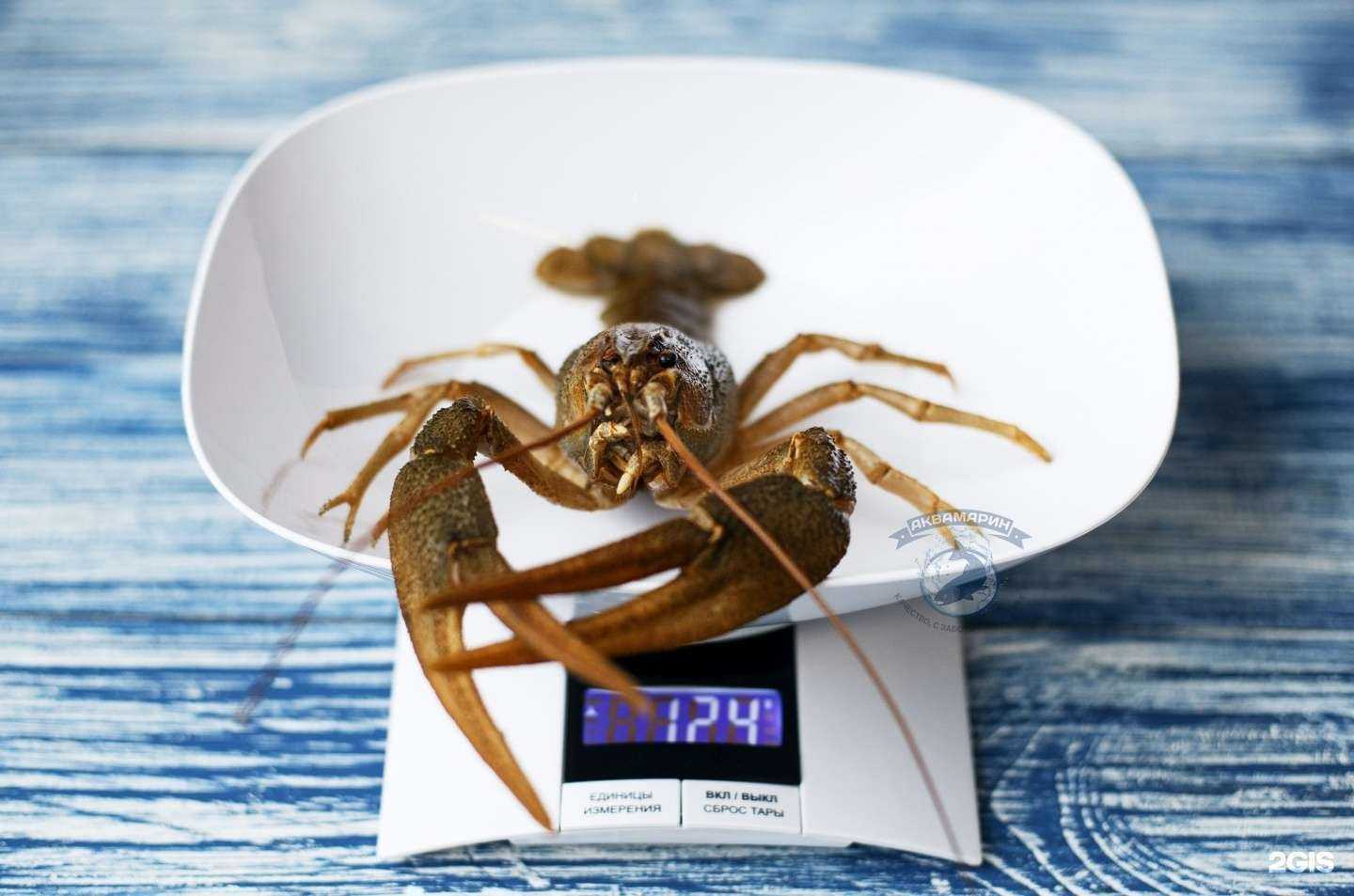 Отзывы на компанию Аквамарин в Оренбурге c фото