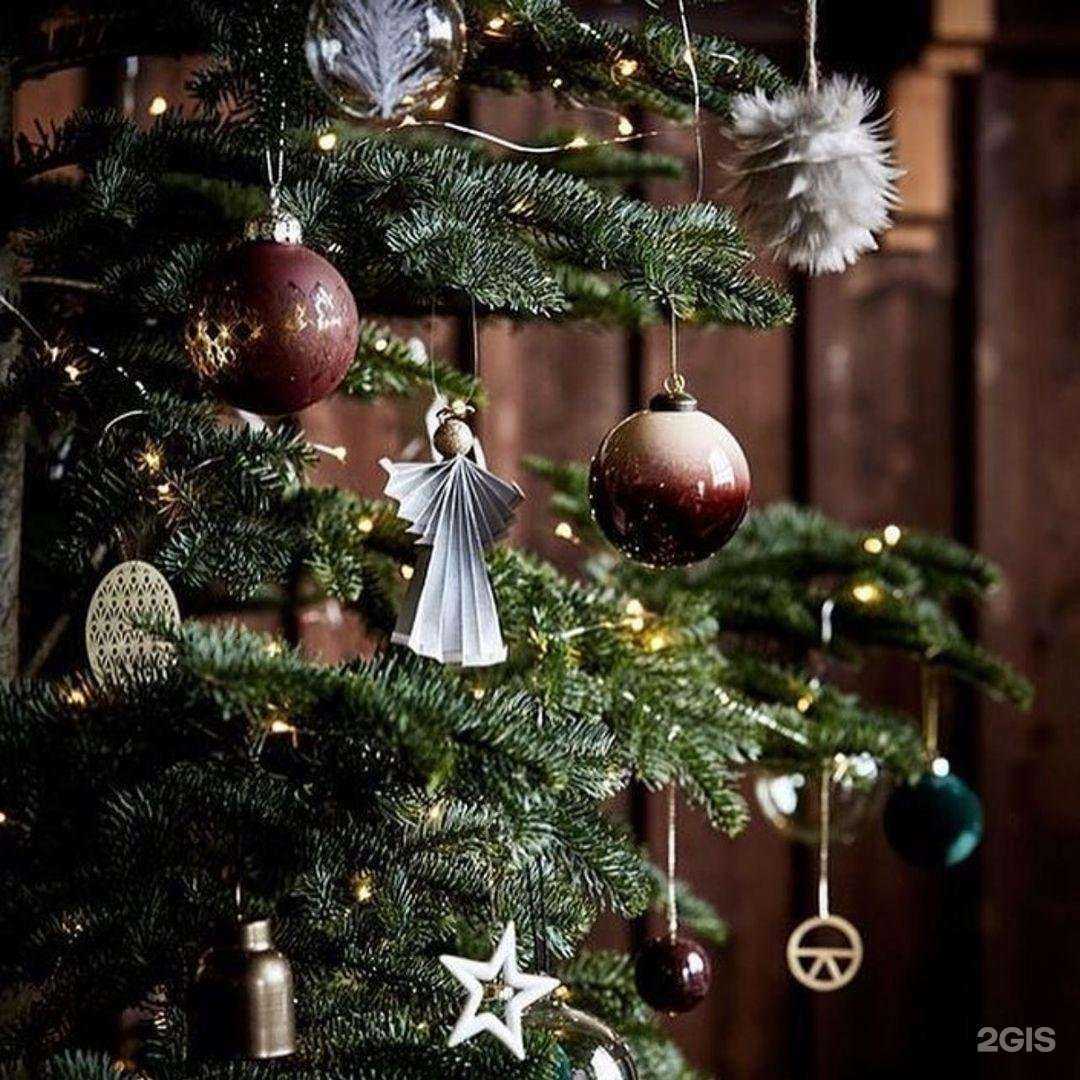 Отзывы на компанию Mак в Новороссийске c фото