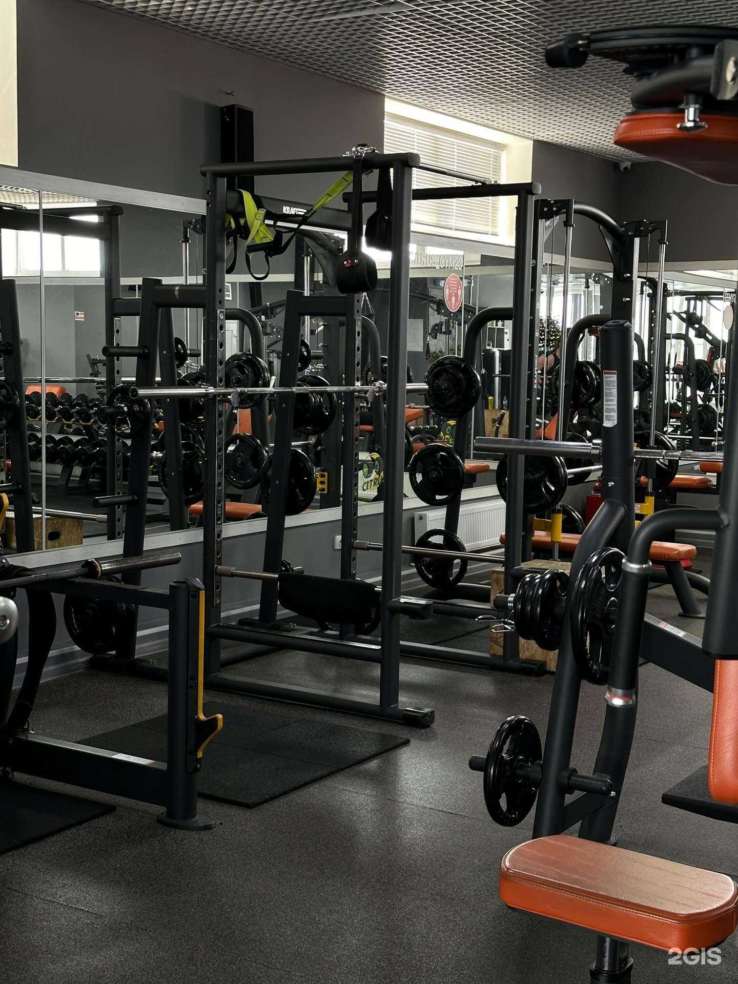 Отзывы на компанию Citrus в г. Новокубанск c фото