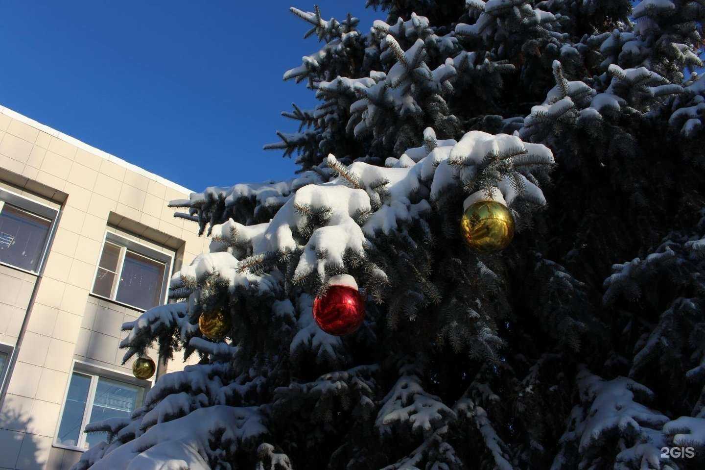 Отзывы на компанию Центр последипломного образования в Липецке c фото