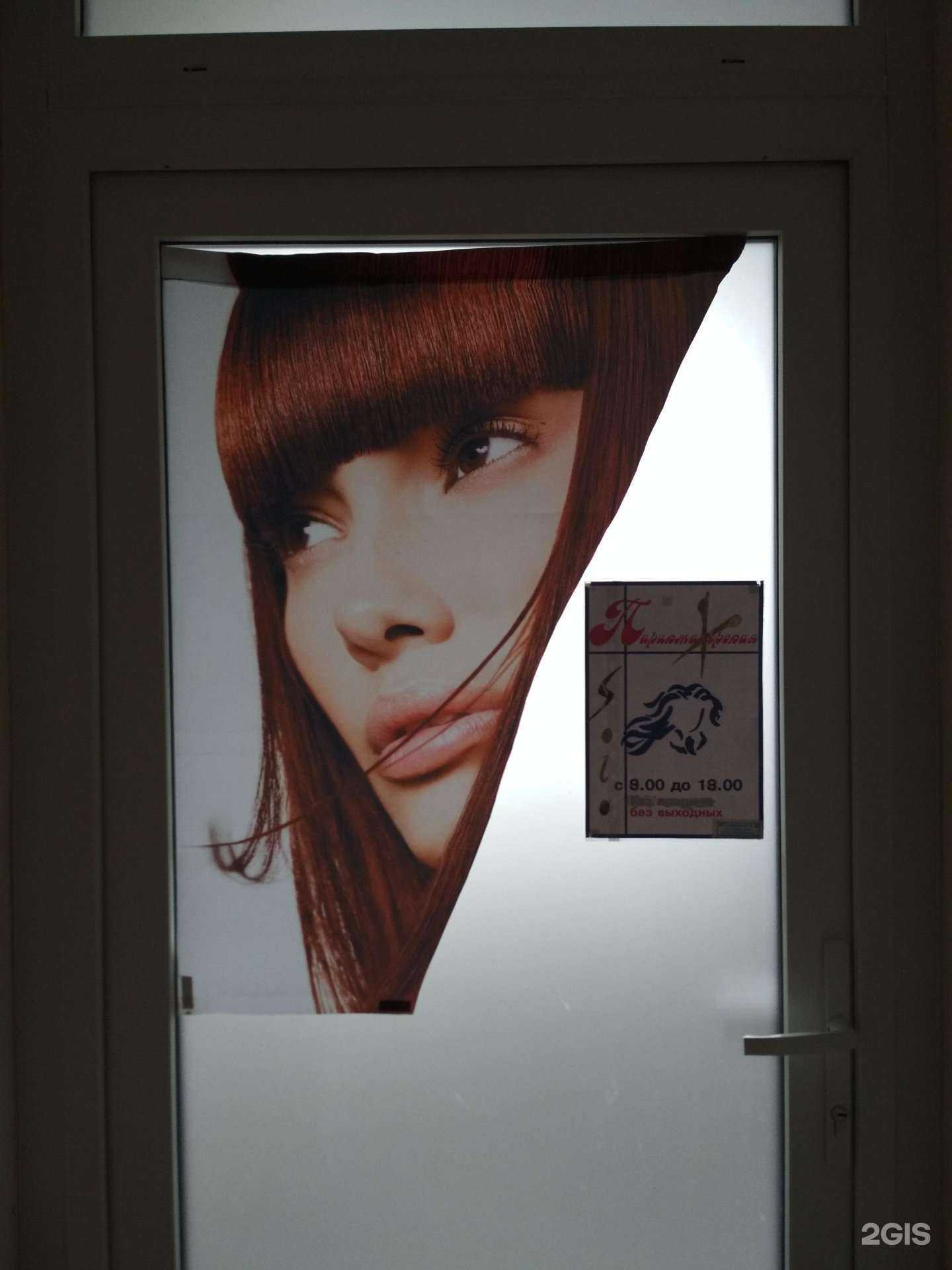 Отзывы на компанию Solo в Пензе c фото