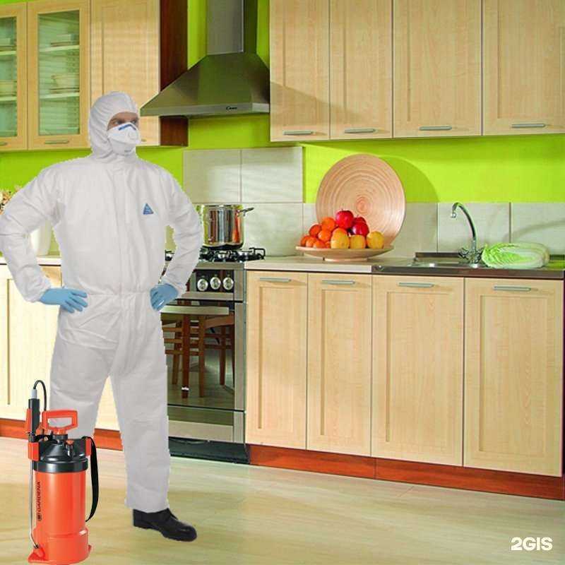 Отзывы на компанию Дез24 в г. Самара c фото