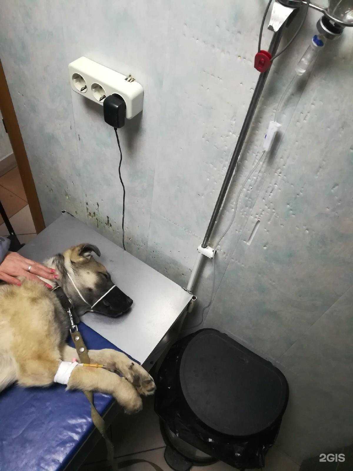 Отзывы на компанию Панта Рэй в г. Курган c фото