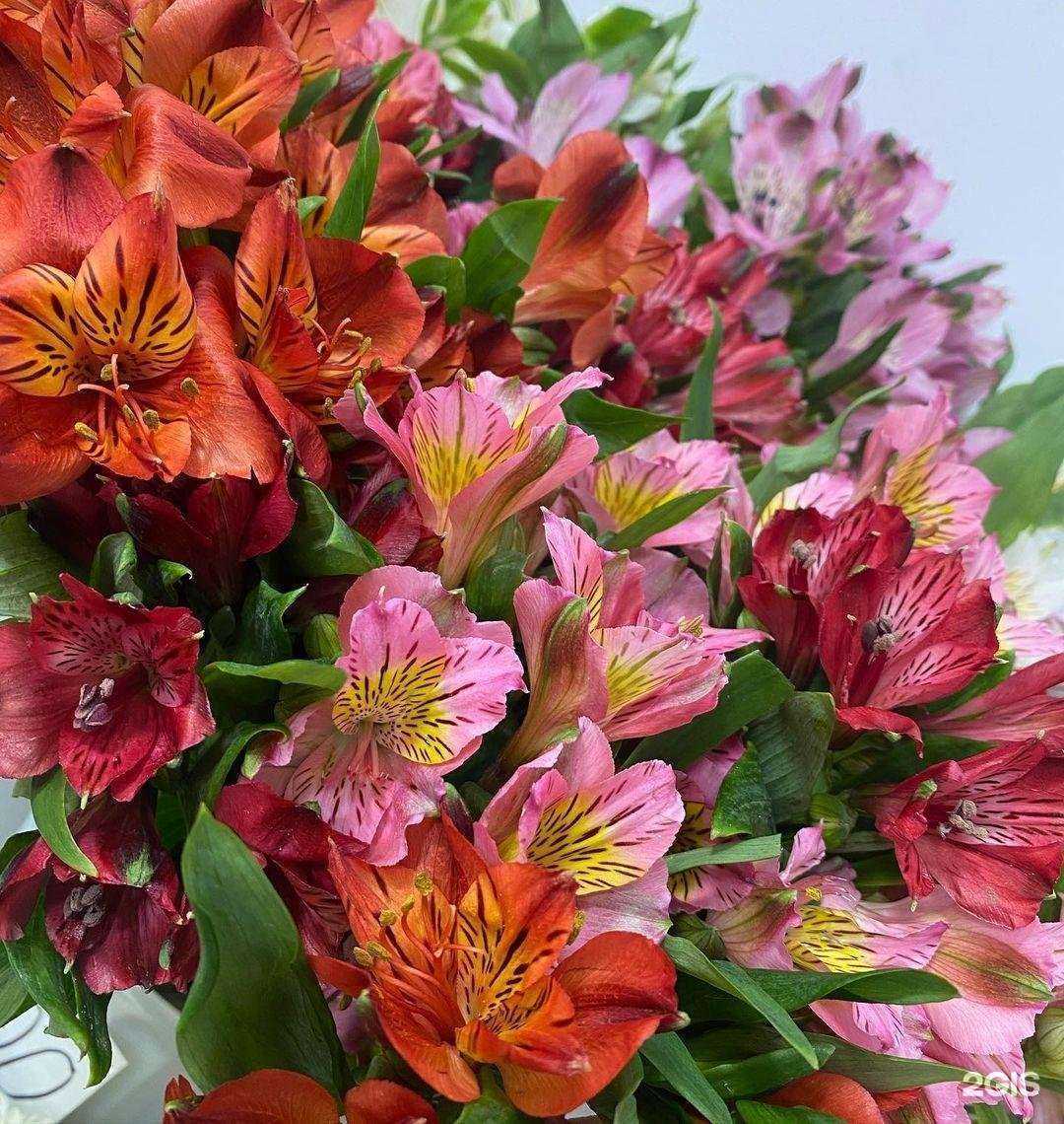 Отзывы на компанию Flowers for you в Находке c фото