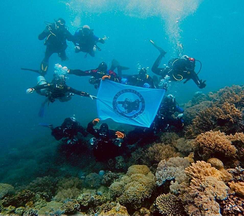 Отзывы на компанию Адреналин в г. Нижний Новгород c фото