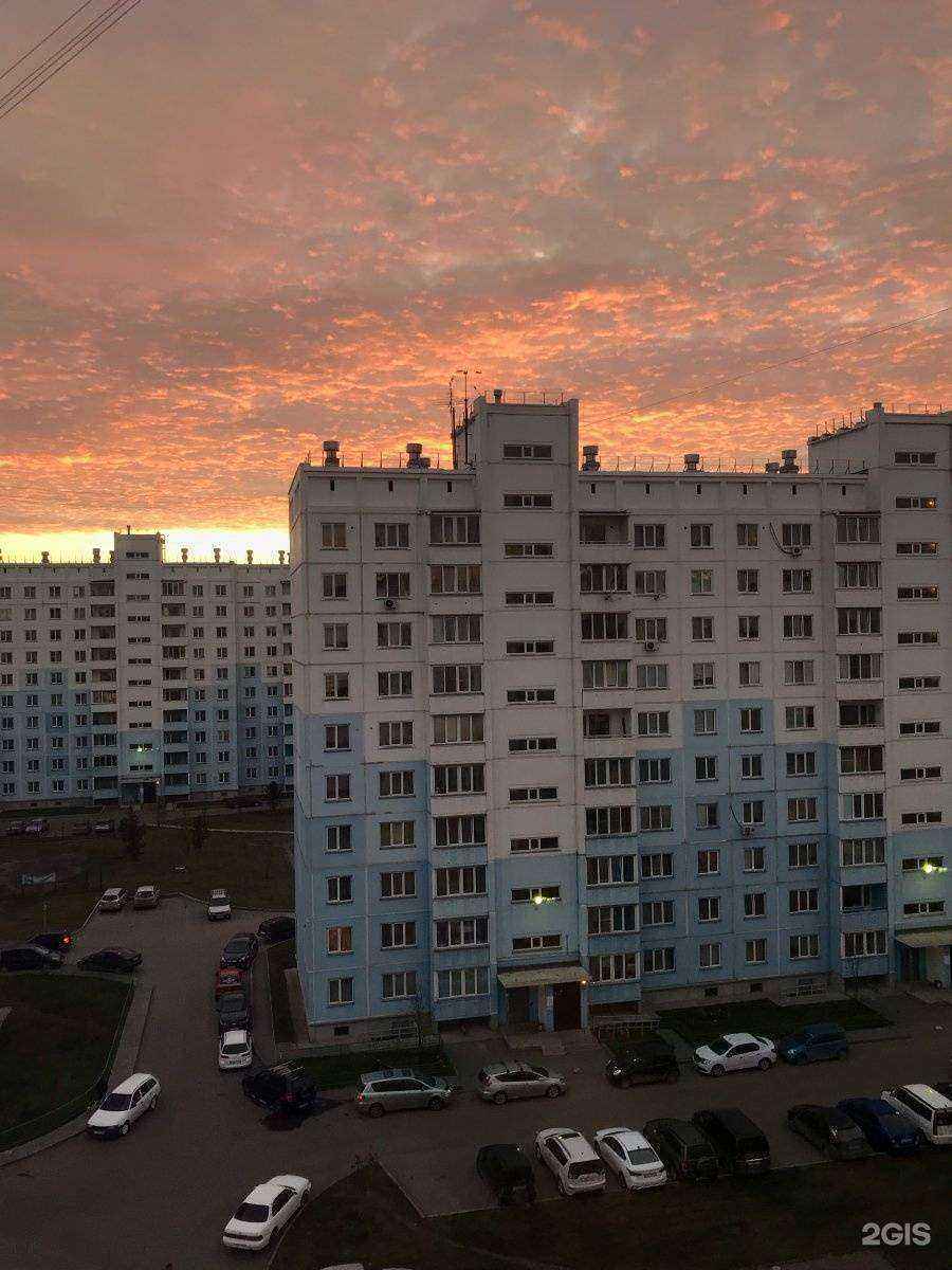 Отзывы на компанию Dandelions в Новосибирске c фото - фотография 2 из 2