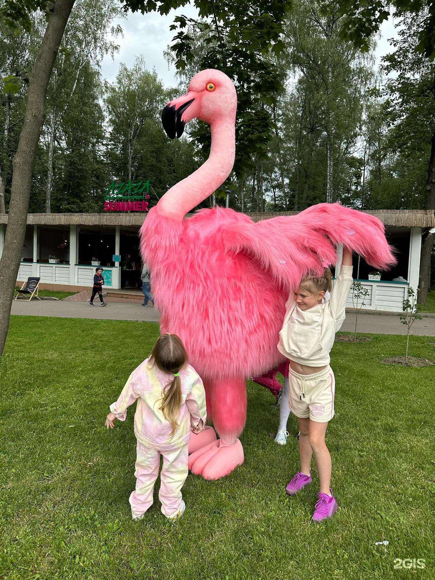 Отзывы на компанию Я на Праздник в г. Тула c фото