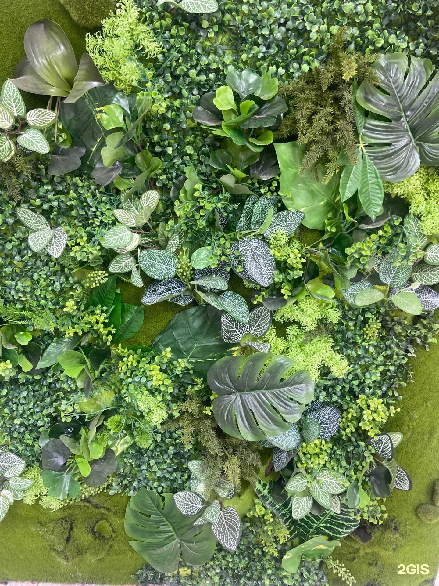 Отзывы на компанию Магазин по продаже искусственных цветов в г. Краснодар c фото