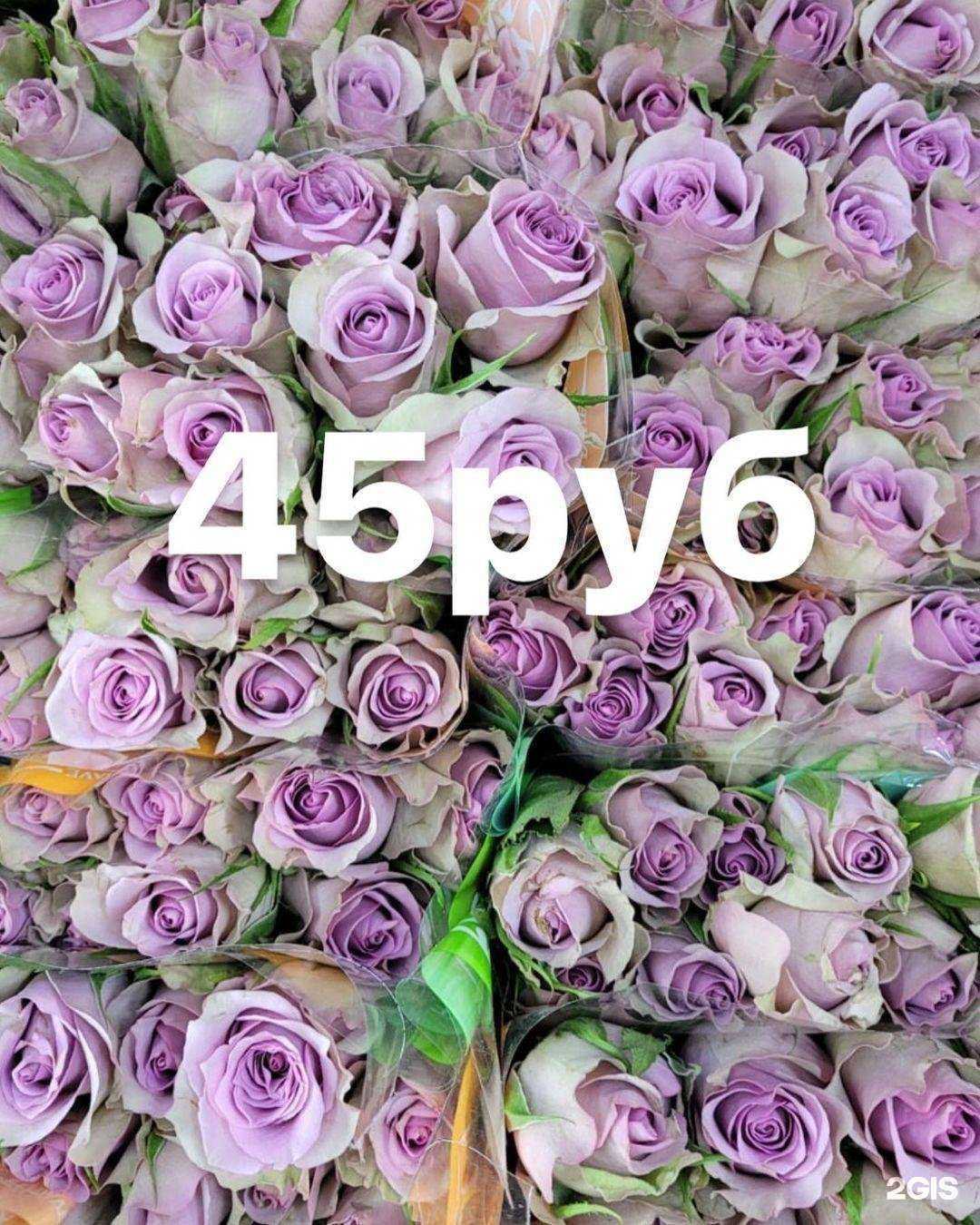 Отзывы на компанию Роза ДВ в г. Владивосток c фото