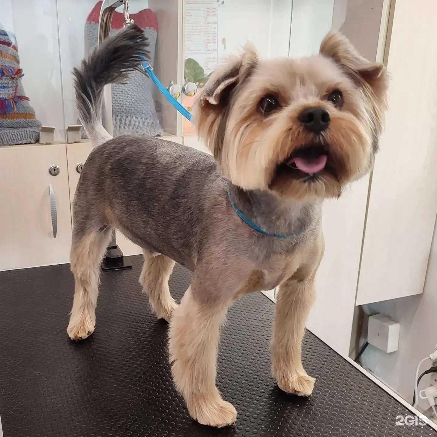 Отзывы на компанию Пëс&к в г. Новосибирск c фото