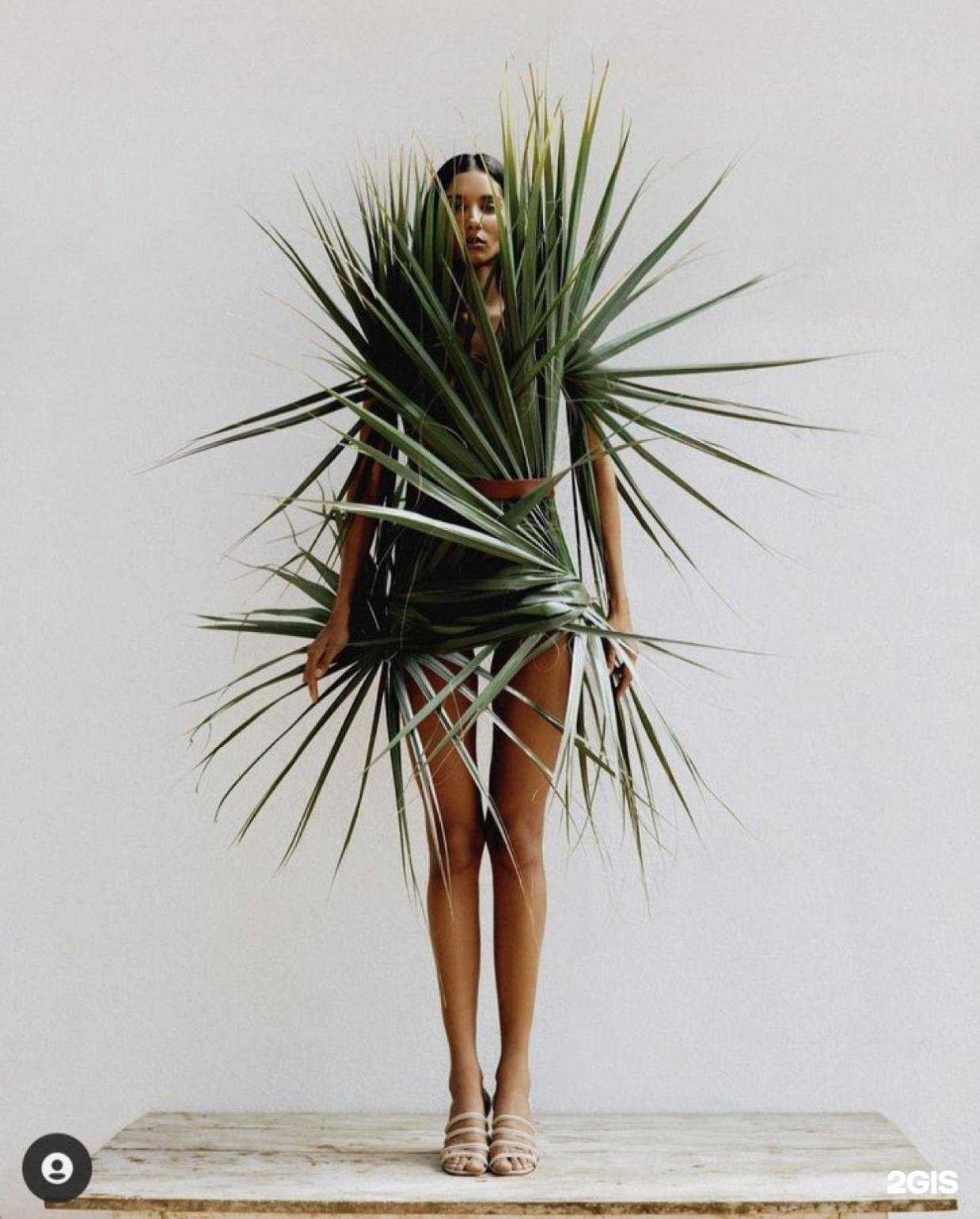 Отзывы на компанию Би Хеппи в г. Петропавловск-Камчатский c фото