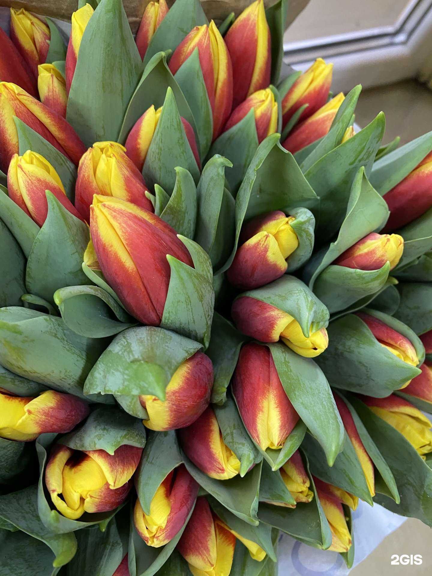 Отзывы на компанию Центр цветоф в Омске c фото