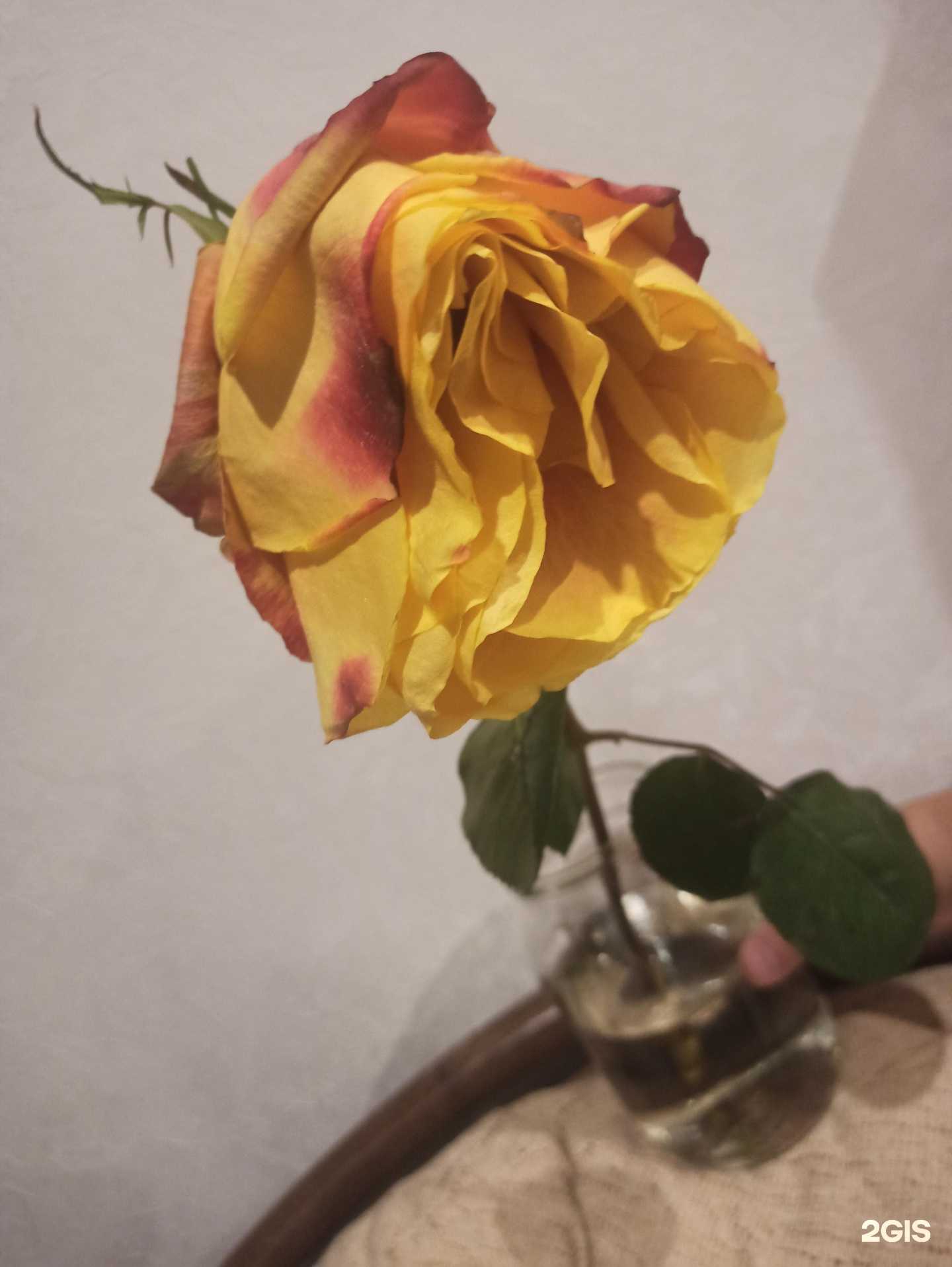 Отзывы на компанию Салон цветов в Волгограде c фото