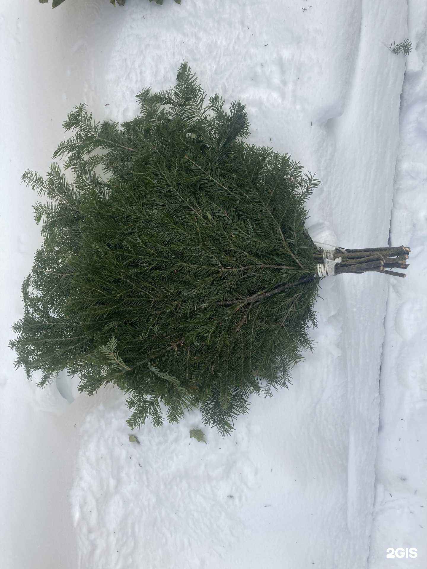 Отзывы на компанию Магазин по продаже банных веников в Тюмени c фото