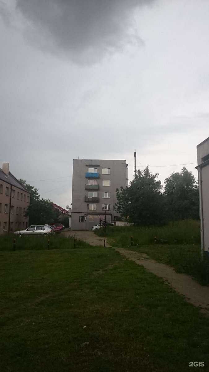 Отзывы на компанию Алекс автозапчасти в Калининграде c фото - фотография 2 из 2