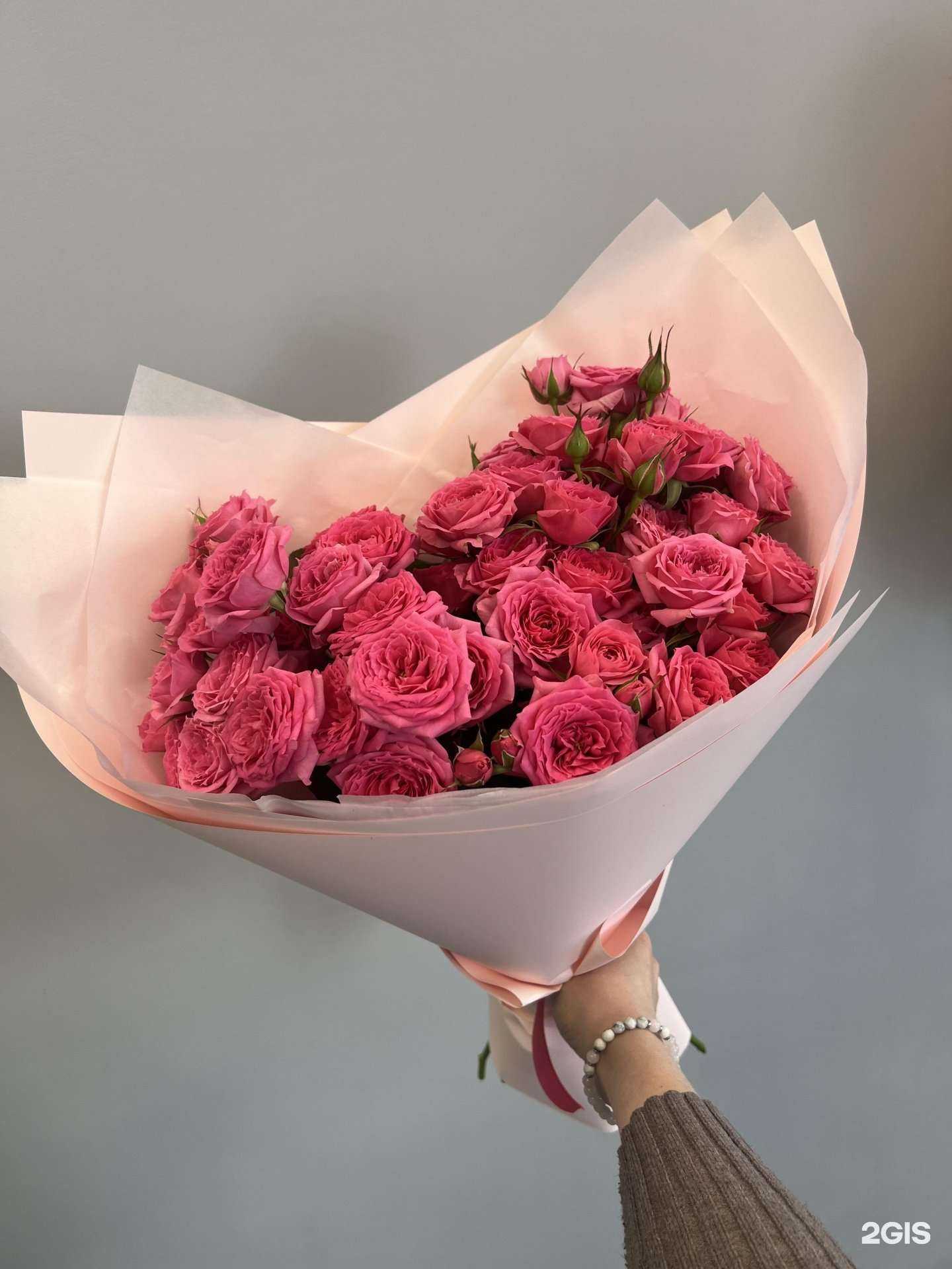 Отзывы на компанию Малина в Омске c фото