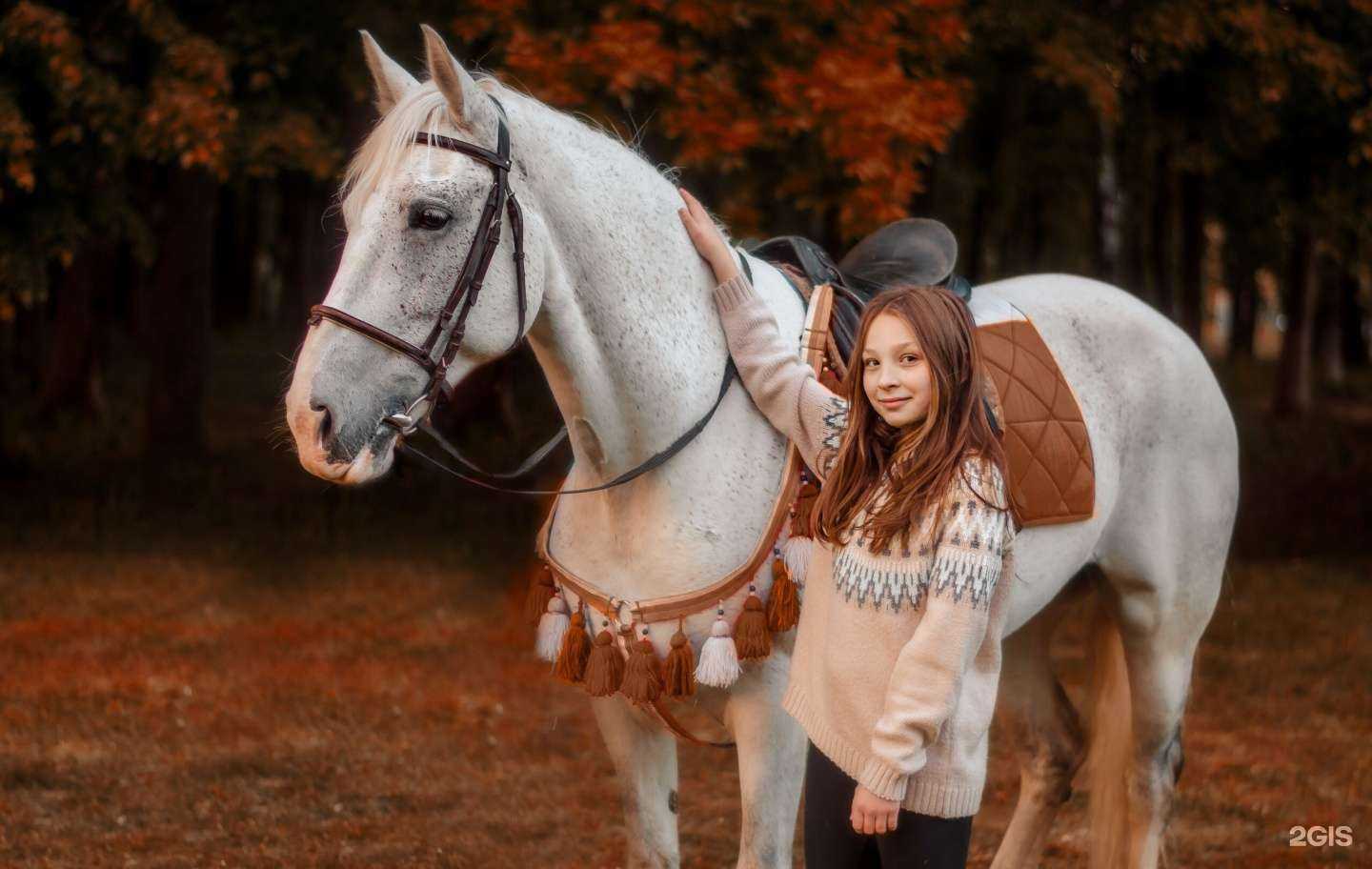 Отзывы на компанию Торнадо в Нижнем Новгороде c фото