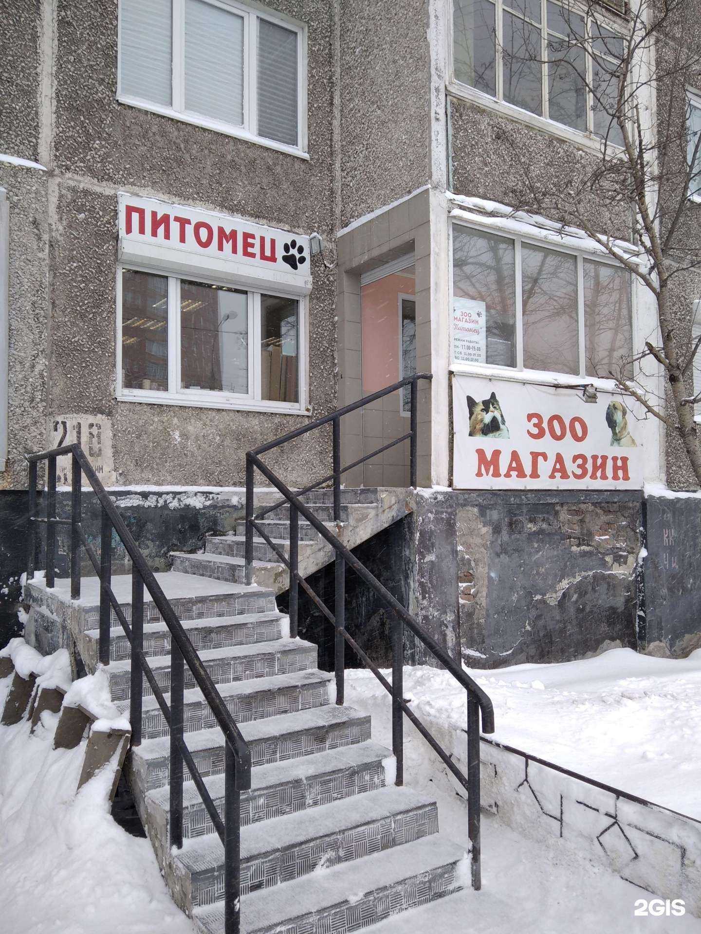 Отзывы на компанию Питомец в Мурманске c фото