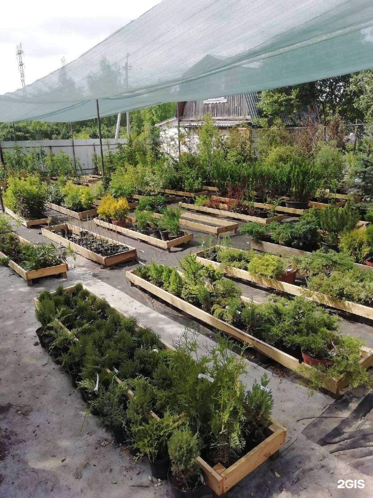 Отзывы на компанию Лэндмастер в Арзамасе c фото