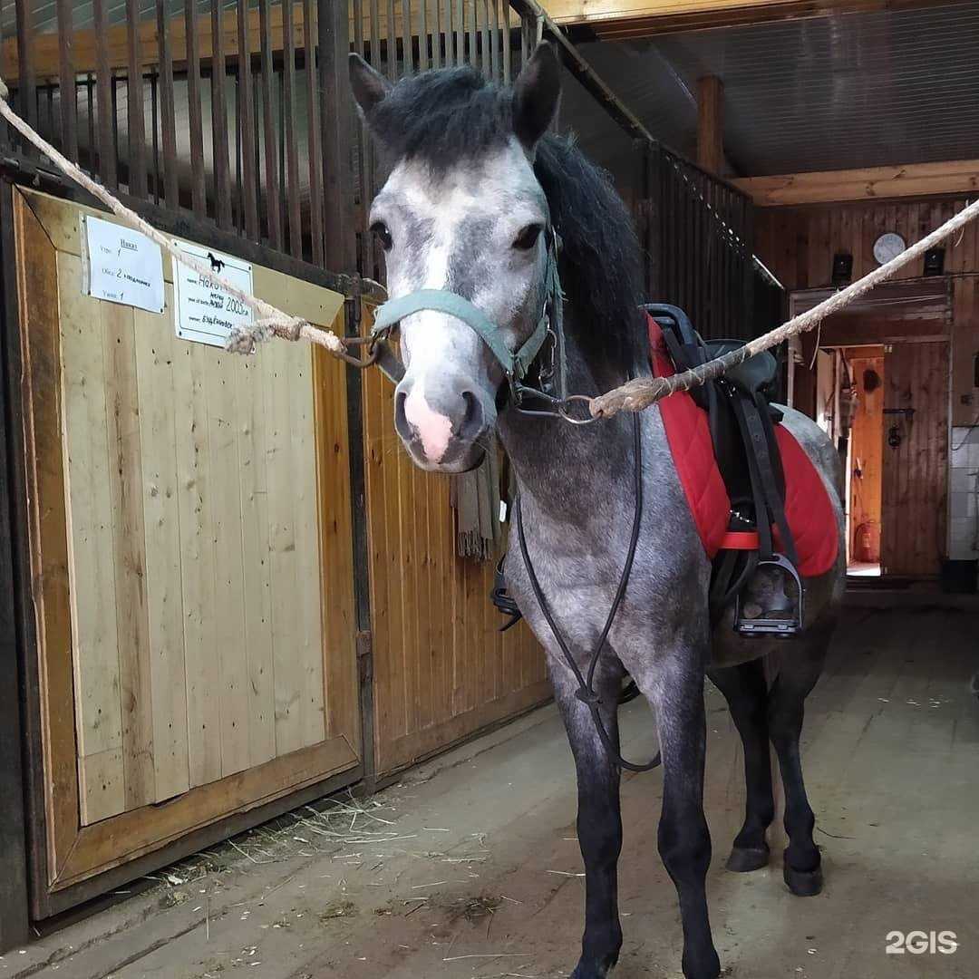 Отзывы на компанию Сторожка в г. Звенигород c фото