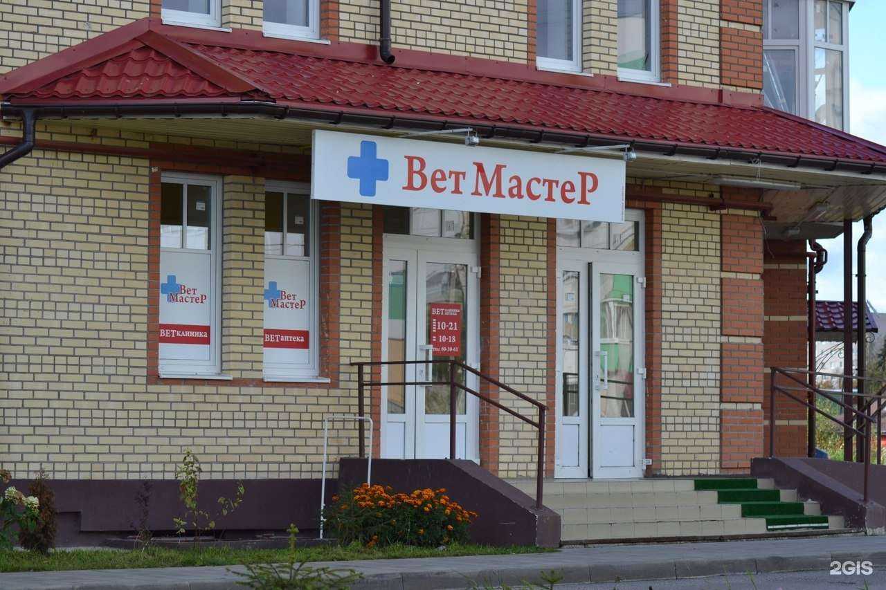 Отзывы на компанию ВетМастер в г. Великий Новгород c фото