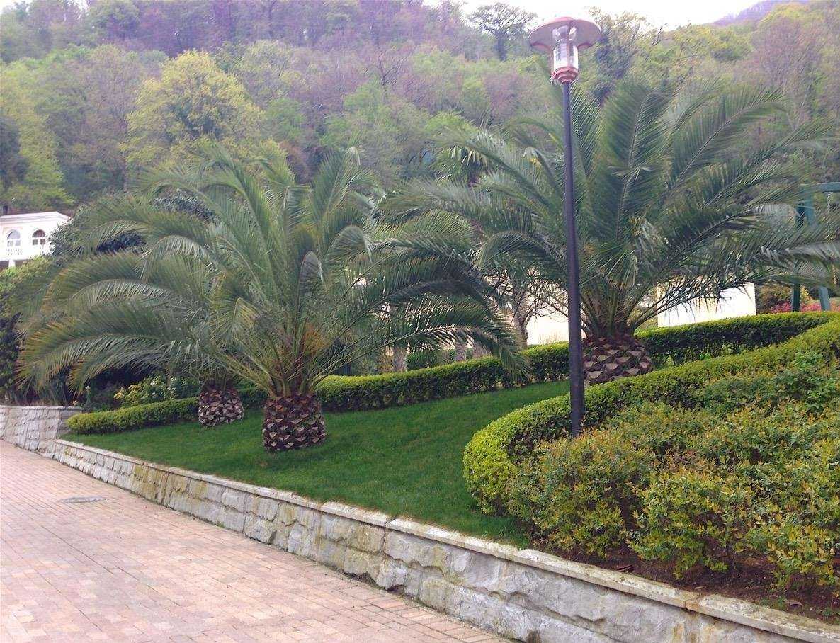 Отзывы на компанию Secret gardens в г. Краснодар c фото