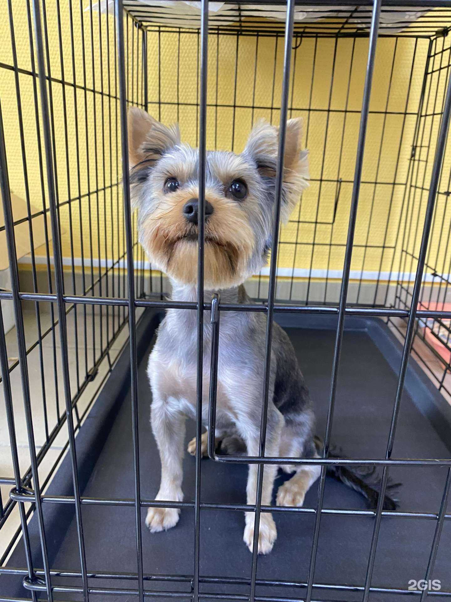 Отзывы на компанию Снежный барс в г. Омск c фото