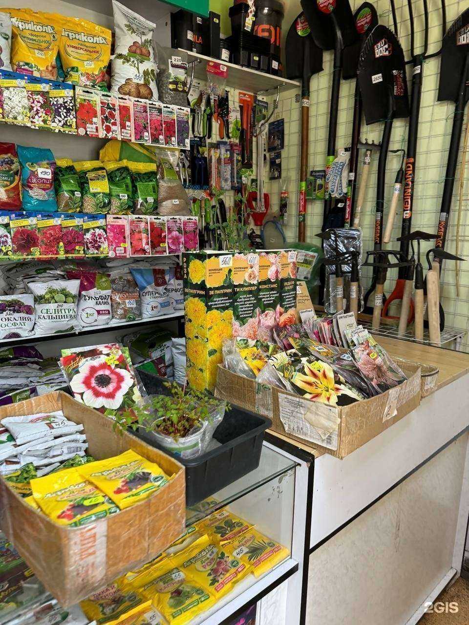 Отзывы на компанию Чудосад27 в г. Хабаровск c фото