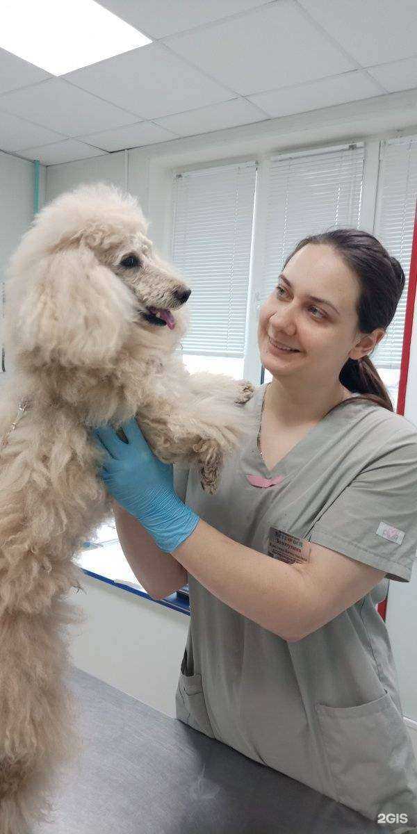 Отзывы на компанию Бетховен в Курске c фото