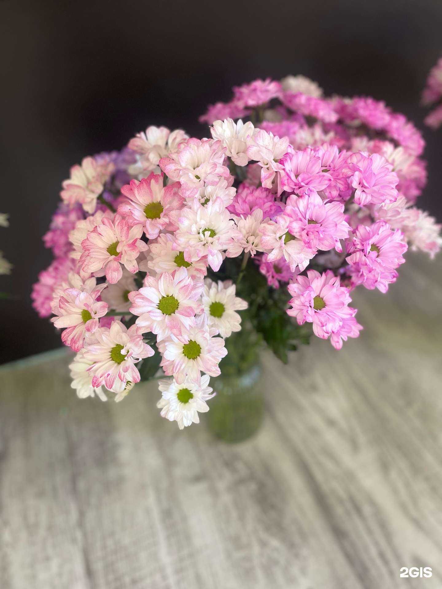 Отзывы на компанию Бамбук в г. Ангарск c фото