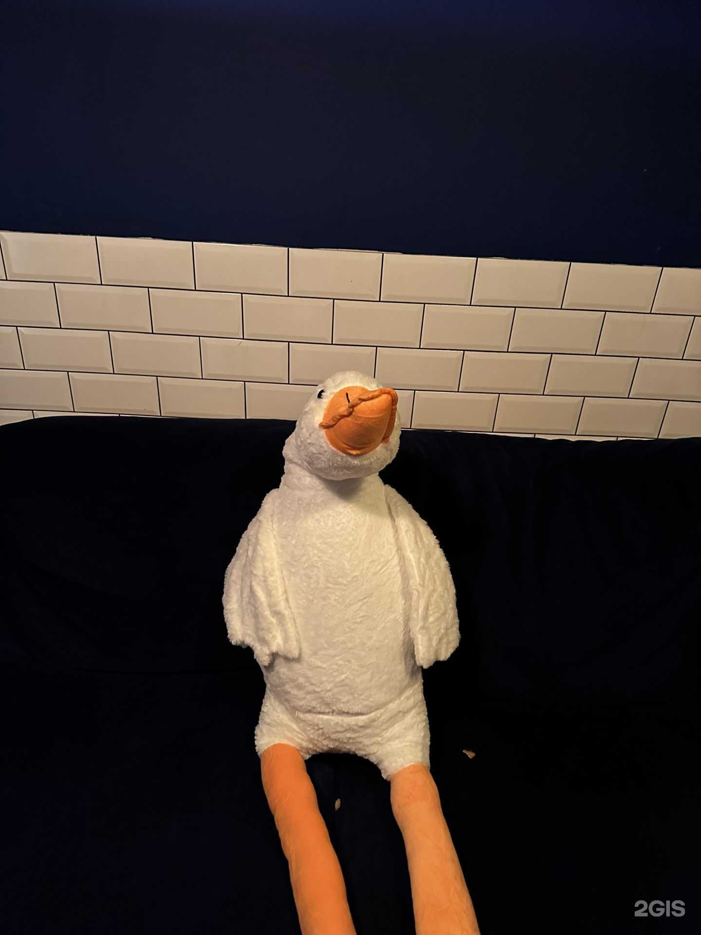 Отзывы на компанию Папа тут в Краснодаре c фото