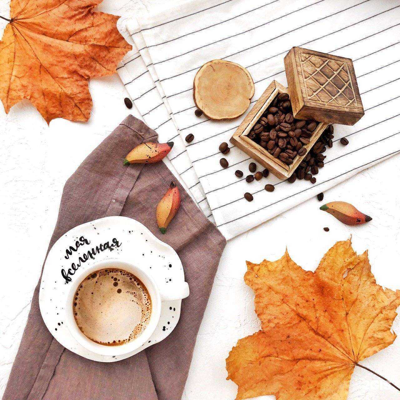 Отзывы на компанию Кантата в г. Архангельск c фото