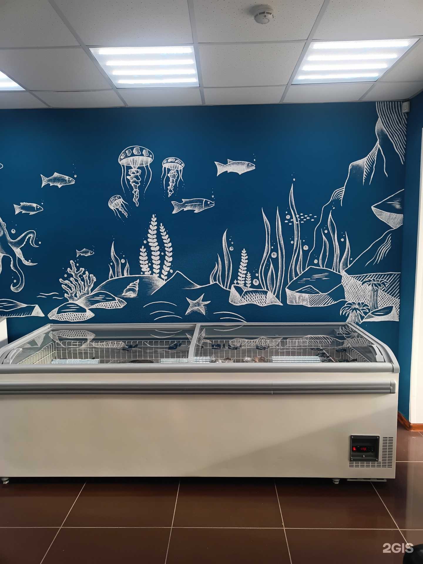 Отзывы на компанию Шеф Порт в Тюмени c фото