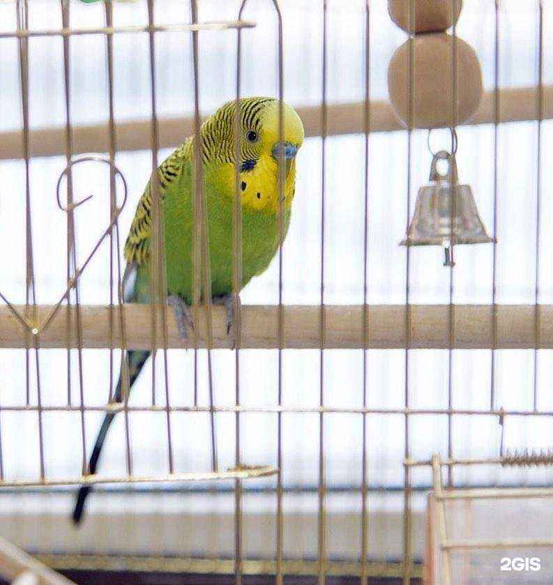 Отзывы на компанию Ветаптека03 в г. Улан-Удэ c фото