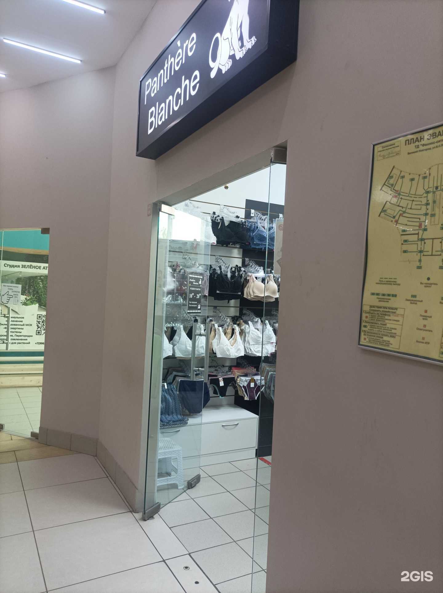 Отзывы на компанию Panthere Blanche в Великом Новгороде c фото