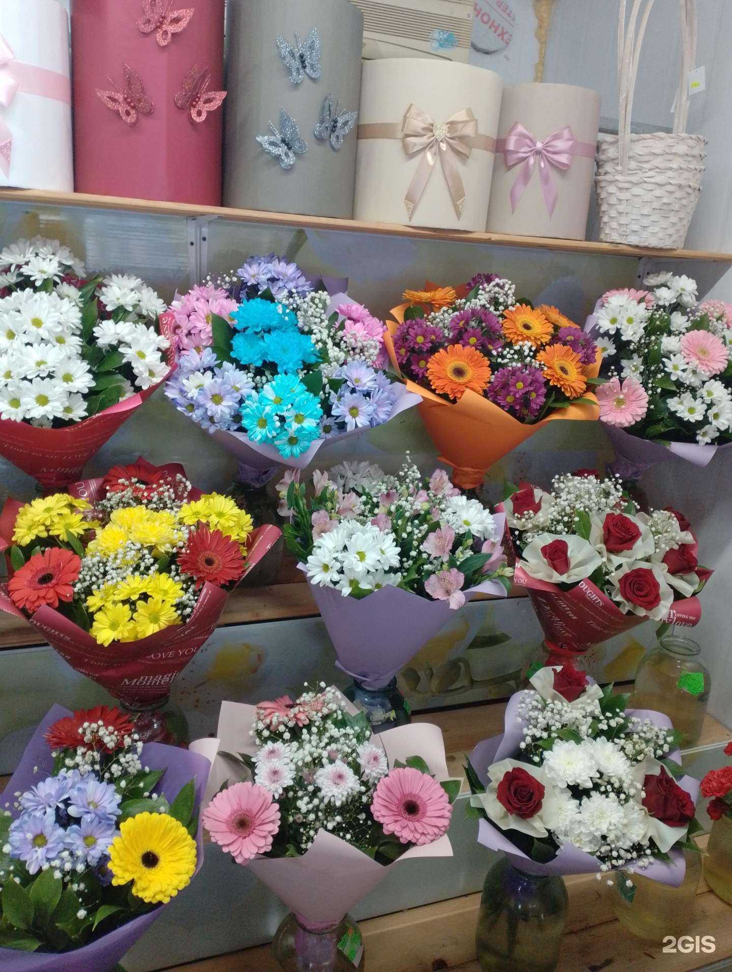 Отзывы на компанию Ирина в Тольятти c фото