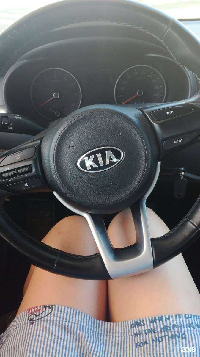 Отзывы на компанию Альфацентр в Анапе c фото