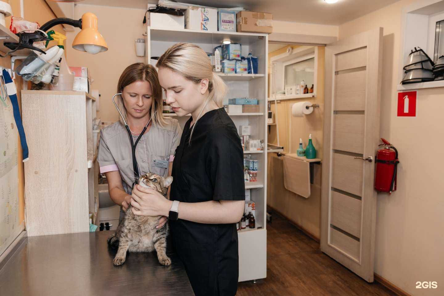 Отзывы на компанию Дарвин в Ульяновске c фото