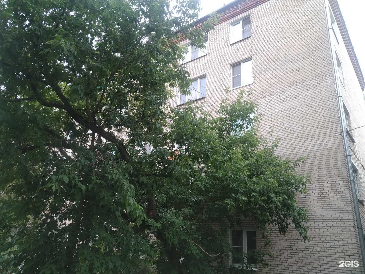 Отзывы на компанию Комиссионный магазин в Лыткарине c фото - фотография 2 из 2