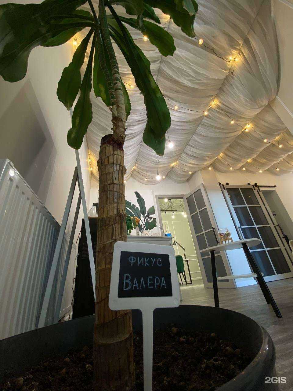 Отзывы на компанию Kesh.you в Тюмени c фото