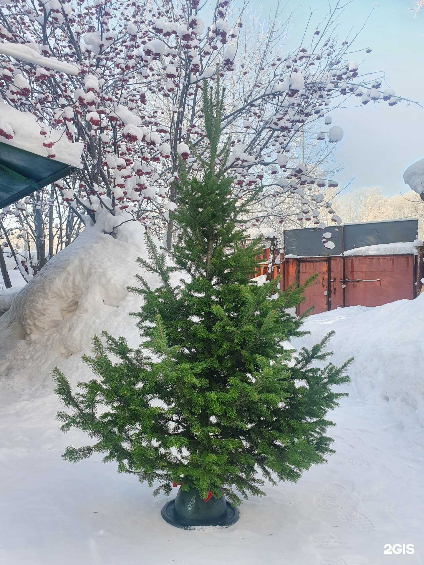 Отзывы на компанию Просто Строим в г. Кемерово c фото