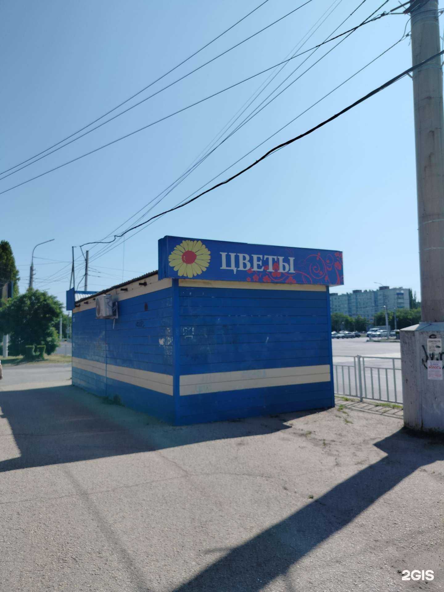 Отзывы на компанию Камелия в Балакове c фото