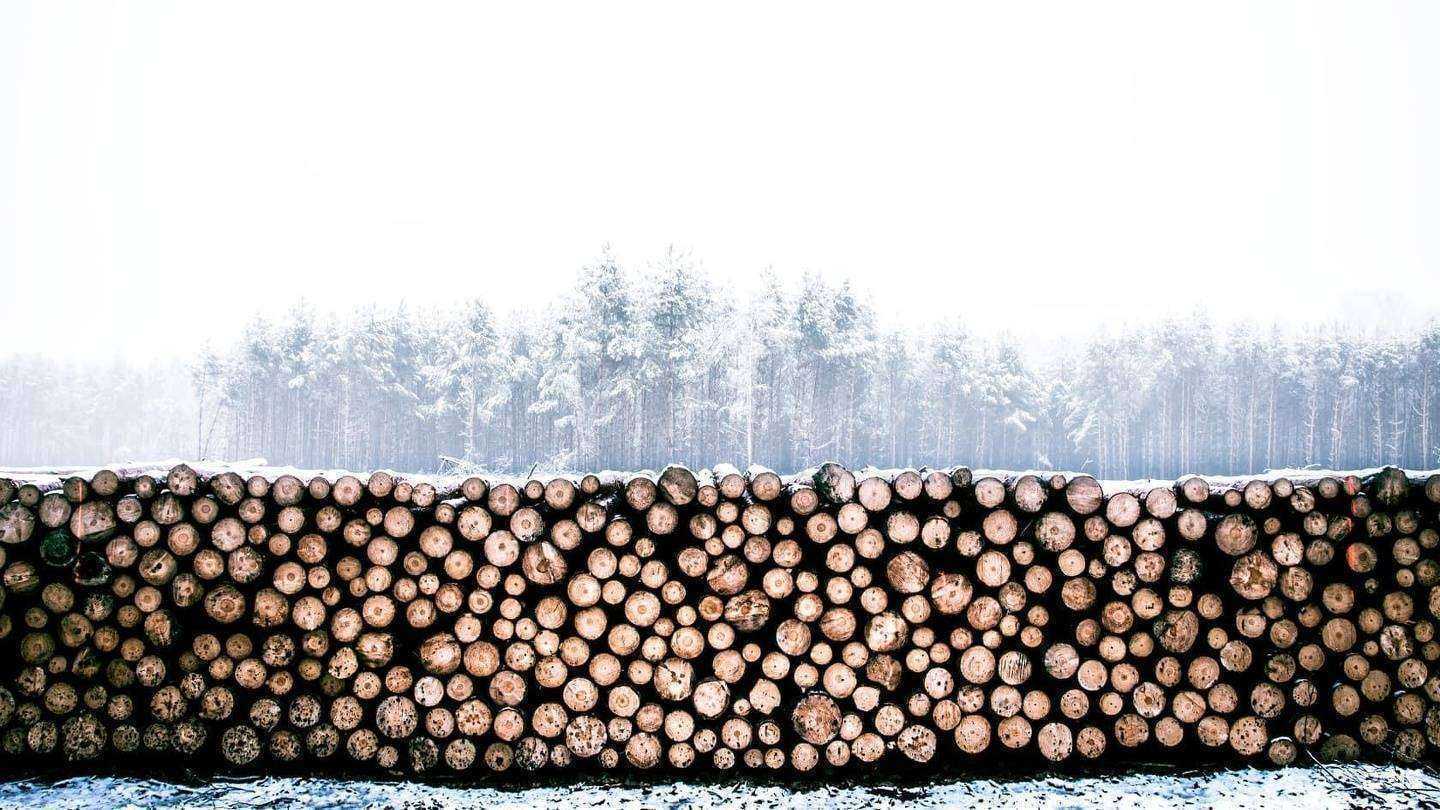 Отзывы на компанию Сельхозсервис в Барнауле c фото