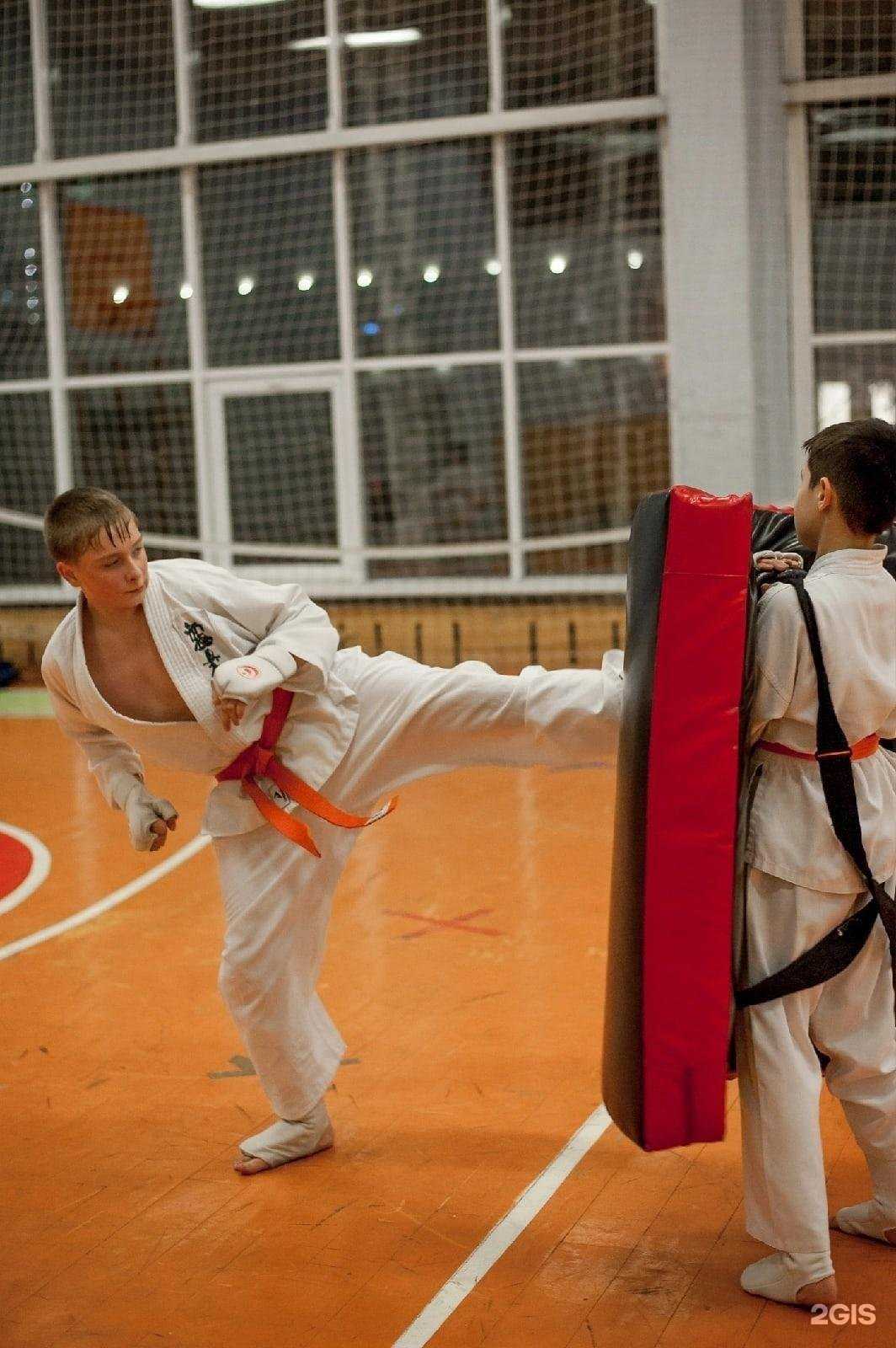 Отзывы на компанию Шин киокушинкай каратэ-до в Новокузнецке c фото