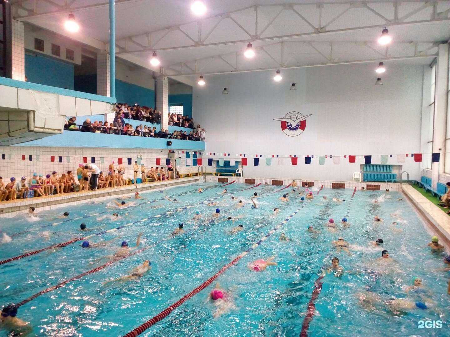 Отзывы на компанию Чайка в Рязани c фото