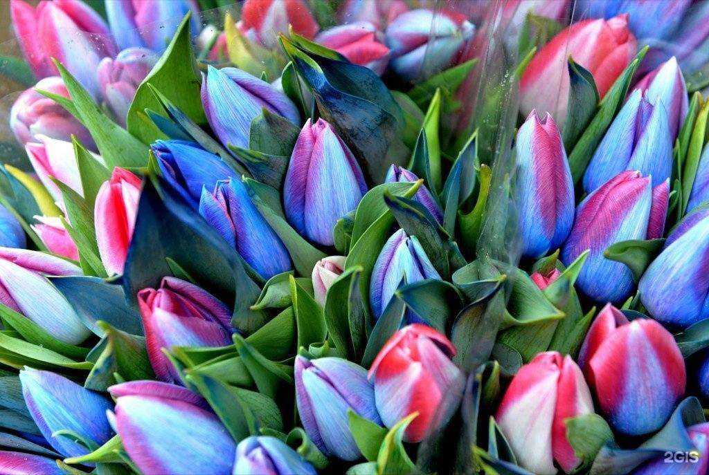 Отзывы на компанию МЕГА Дискаунтер в Владивостоке c фото