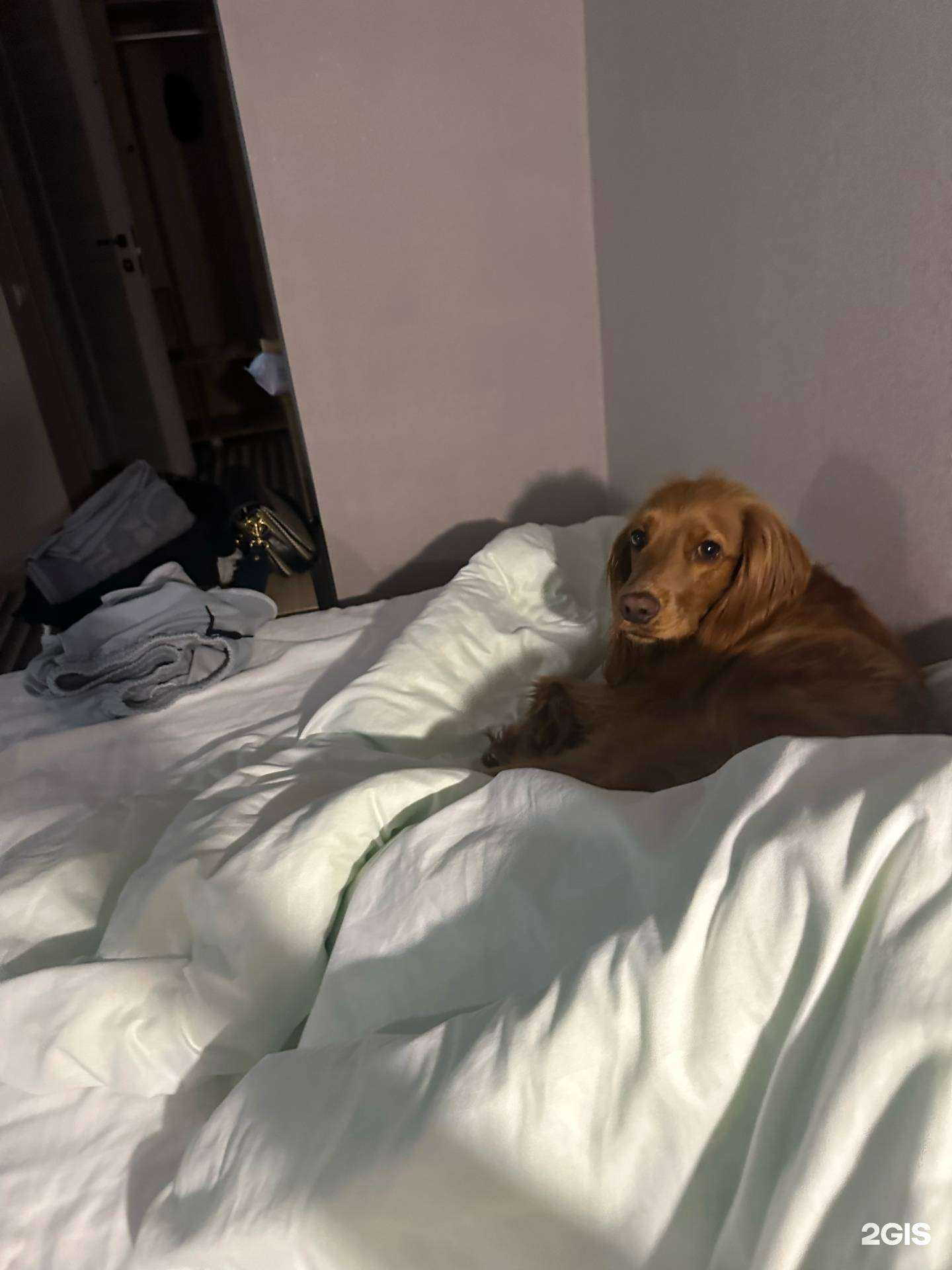 Отзывы на компанию КиМ в Туле c фото