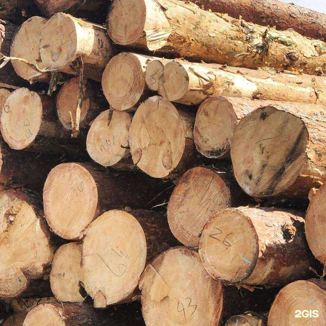 Отзывы на компанию АстраЛес в Кургане c фото