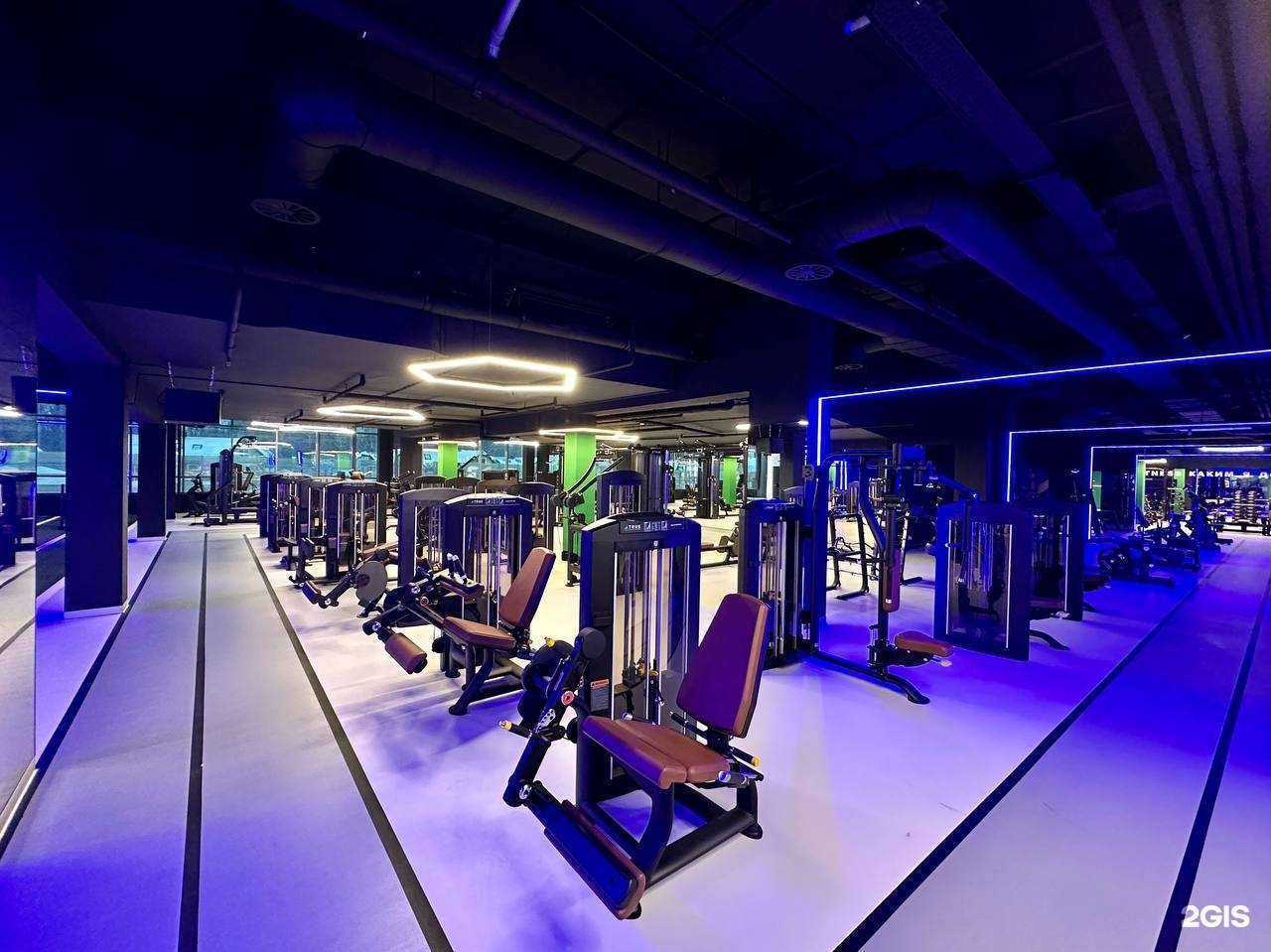 Отзывы на компанию Eco Fitness в г. Долгопрудный c фото