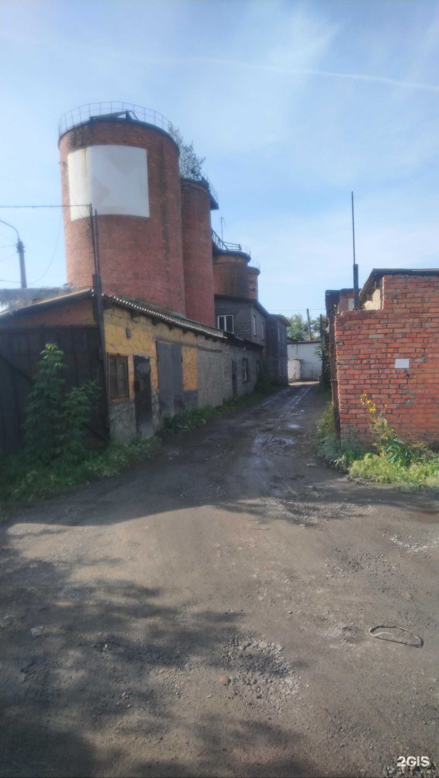 Отзывы на компанию Reptilika в Кемерове c фото - фотография 2 из 2